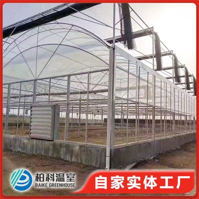 太阳能温室大棚 现代农业的绿色引擎